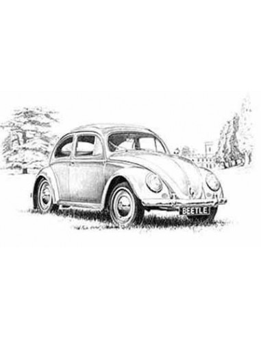 Lamina Volkswagen Beetle - Mike Harbar