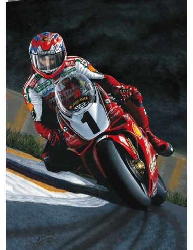 Litografia Superbike Super Champion - Fogarty - Michael Thompson