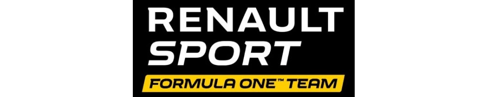 Ropa-Complementos Renault F1