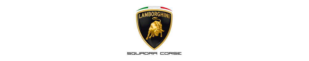Ropa-Complementos Lamborghini Squadra Corse